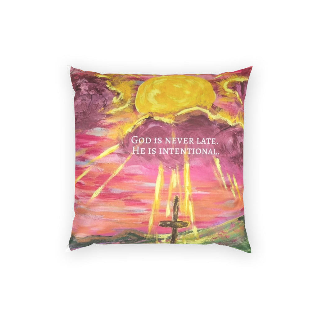 Poly Velvet Pillow